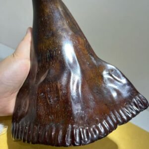 Museum-Grade Rhinoceros Horn – ‘Red Skin’ Rare Artifact