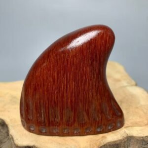Rhinoceros Horn Tip – Rare Natural Artifact