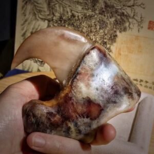 Tiger King's Hook - Wealth Attracting Talisman